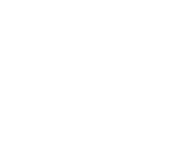 Reflectia